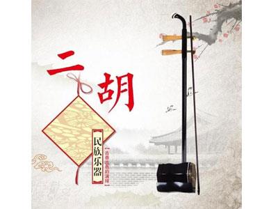 招聘贵阳二胡家教老师